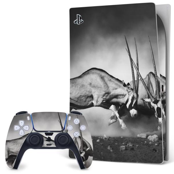 SONY PS5 �f�W�^���G�f�B�V���� �v���C�X�e�[�V���� ��p�������ȃX�L���V�[�� �\�邾���� �f�U�C���X�e�b�J�[  �R�r�@�€�@�ʐ^�@���m�N�� 007518