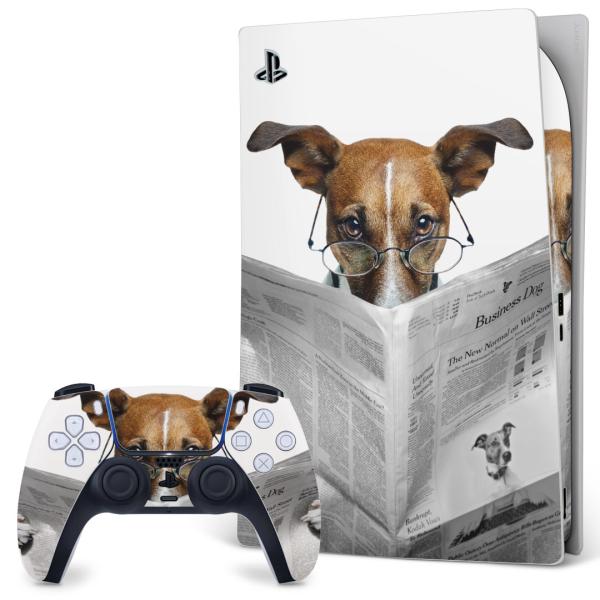 SONY PS5 fW^GfBV vCXe[V pȃXLV[ \邾 fUCXebJ[  ʐ^@@ʁ@V 007706