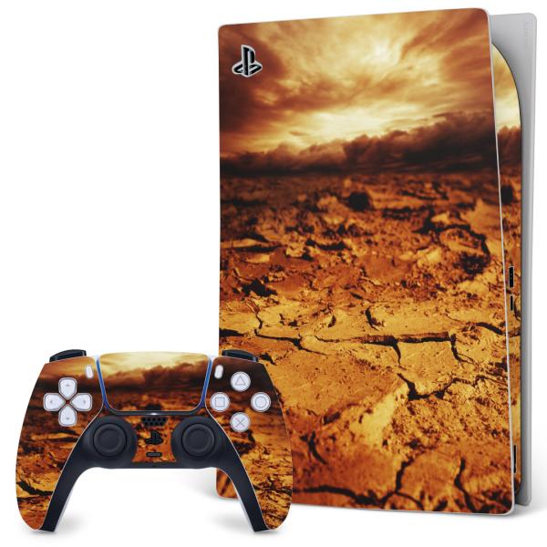 SONY PS5 �f�W�^���G�f�B�V���� �v���C�X�e�[�V���� ��p�������ȃX�L���V�[�� �\�邾���� �f�U�C���X�e�b�J�[  �ʐ^�@���F�@�u���E���@�y�@�� 007728