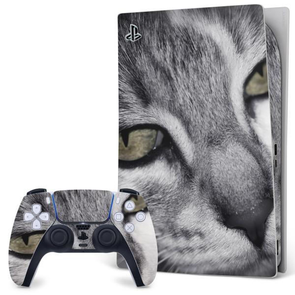 SONY PS5 �f�W�^���G�f�B�V���� �v���C�X�e�[�V���� ��p�������ȃX�L���V�[�� �\�邾���� �f�U�C���X�e�b�J�[  �ʐ^�@�L�@�˂��@���m�N�� 007896