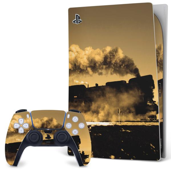 SONY PS5 �f�W�^���G�f�B�V���� �v���C�X�e�[�V���� ��p�������ȃX�L���V�[�� �\�邾���� �f�U�C���X�e�b�J�[  �ʐ^�@�D�ԁ@��蕨�@�Z�s�A 007901