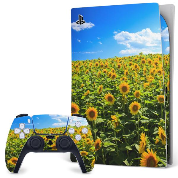 SONY PS5 fW^GfBV vCXe[V pȃXLV[ \邾 fUCXebJ[  ʐ^@ԁ@t[@@Ђ܂ 007936