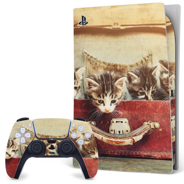 SONY PS5 fW^GfBV vCXe[V pȃXLV[ \邾 fUCXebJ[  ʐ^@L@lR@Jo@ 008717