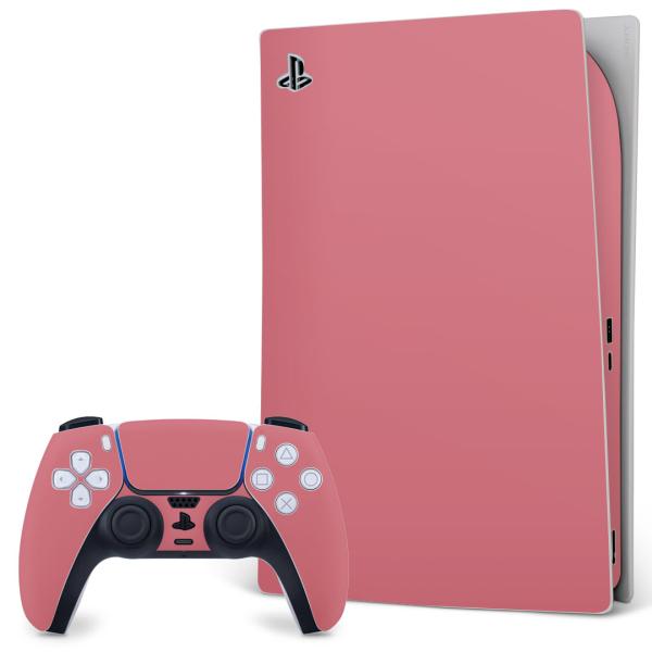 SONY PS5 fW^GfBV vCXe[V pȃXLV[ \邾 fUCXebJ[  Vv@n@sN 008954