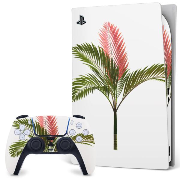 SONY PS5 fW^GfBV vCXe[V pȃXLV[ \邾 fUCXebJ[  A@ԁ@ 009571