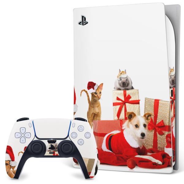 SONY PS5 fW^GfBV vCXe[V pȃXLV[ \邾 fUCXebJ[  NX}X@@@L 009931