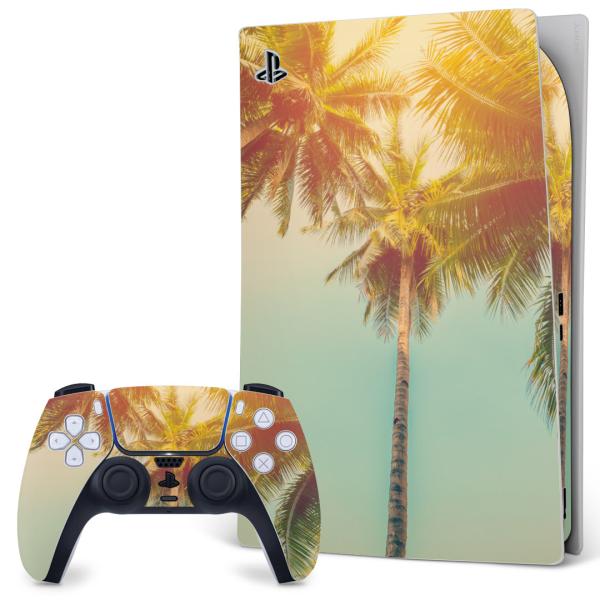 SONY PS5 fW^GfBV vCXe[V pȃXLV[ \邾 fUCXebJ[  V̖؁@i 010529