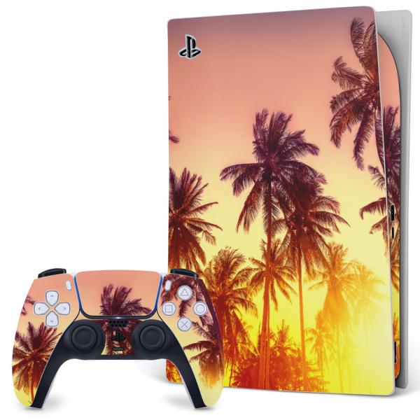 SONY PS5 fW^GfBV vCXe[V pȃXLV[ \邾 fUCXebJ[  ā@V̖؁@[ 011302