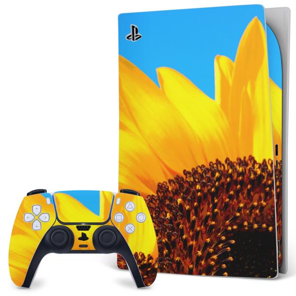 SONY PS5 �f�W�^���G�f�B�V���� �v���C�X�e�[�V���� ��p�������ȃX�L���V�[�� �\�邾���� �f�U�C���X�e�b�J�[  �ԁ@�Ђ܂��@�ʐ^ 011439