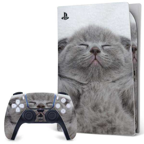 SONY PS5 fW^GfBV vCXe[V pȃXLV[ \邾 fUCXebJ[  L@@ʐ^ 011682
