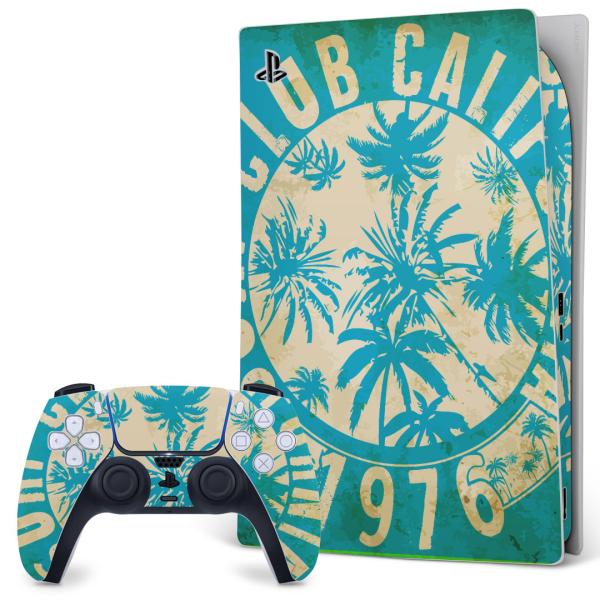 SONY PS5 fW^GfBV vCXe[V pȃXLV[ \邾 fUCXebJ[  S@p@ 012136