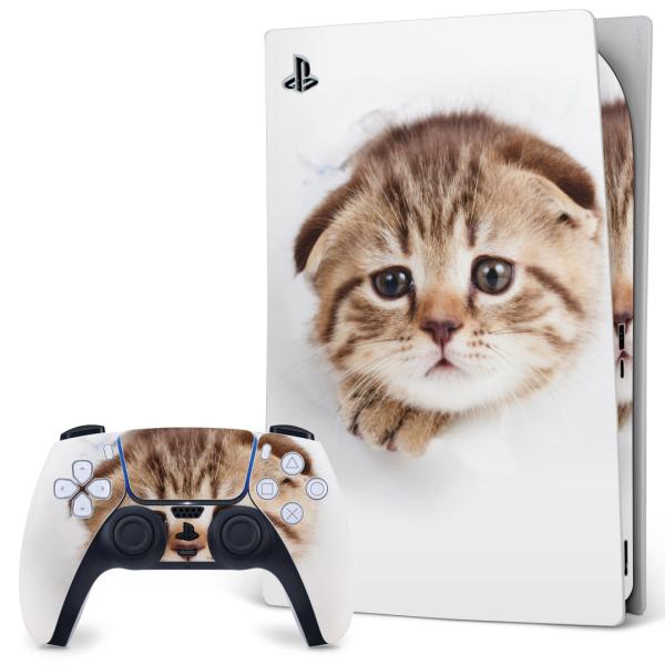 SONY PS5 fW^GfBV vCXe[V pȃXLV[ \邾 fUCXebJ[  L@ʐ^@qL 013568