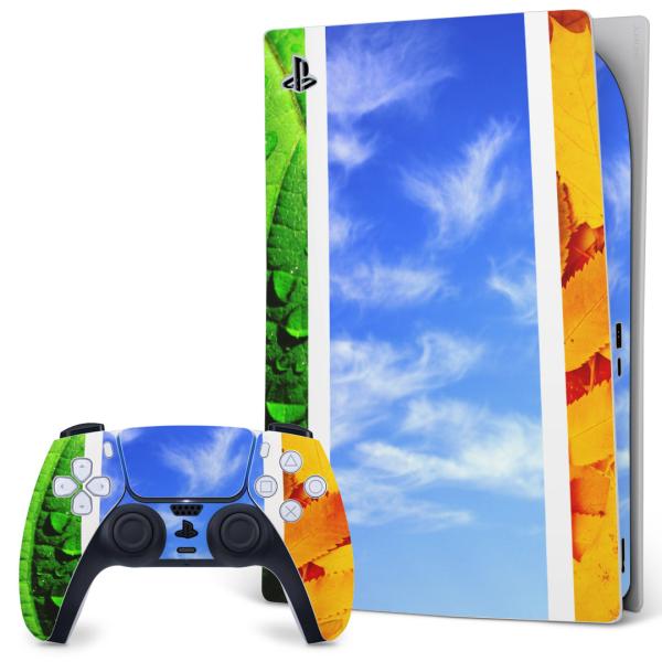 SONY PS5 �f�W�^���G�f�B�V���� �v���C�X�e�[�V���� ��p�������ȃX�L���V�[�� �\�邾���� �f�U�C���X�e�b�J�[  �ā@�Ђ܂��@�� 014084