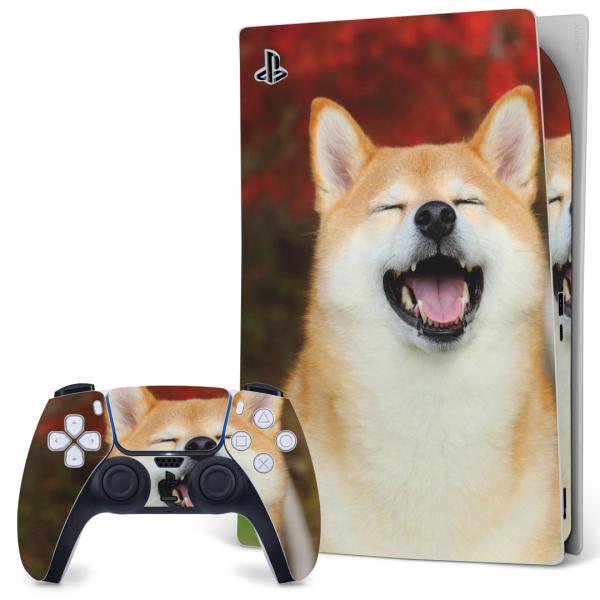 SONY PS5 fW^GfBV vCXe[V pȃXLV[ \邾 fUCXebJ[  @킢@Č 015611