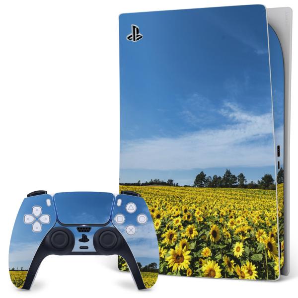 SONY PS5 �f�W�^���G�f�B�V���� �v���C�X�e�[�V���� ��p�������ȃX�L���V�[�� �\�邾���� �f�U�C���X�e�b�J�[  �Ђ܂��@�ԁ@�i�F�@�ʐ^ 015740