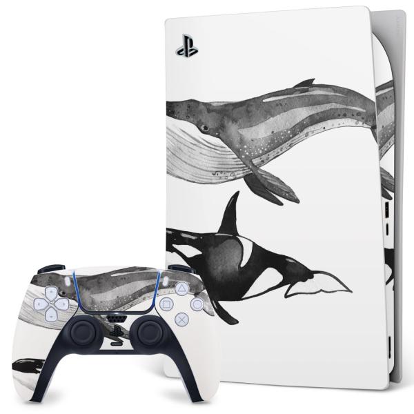 SONY PS5 fW^GfBV vCXe[V pȃXLV[ \邾 fUCXebJ[  V`@@NW 016066