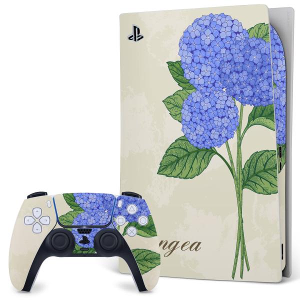 SONY PS5 fW^GfBV vCXe[V pȃXLV[ \邾 fUCXebJ[  @~J@ 016332