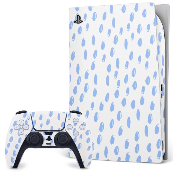 SONY PS5 fW^GfBV vCXe[V pȃXLV[ \邾 fUCXebJ[   050415