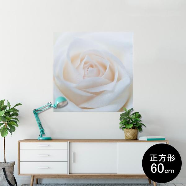 �|�X�^�[ �E�H�[���X�e�b�J�[ �V�[�����X�e�b�J�[ ���� 60×60cm Msize �� �������@�������� sticker poster ���@�K�N�@�ʐ^ 005080