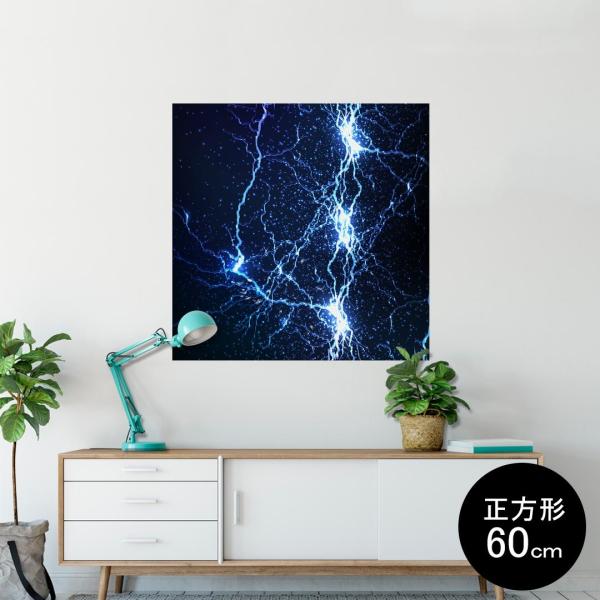 �|�X�^�[ �E�H�[���X�e�b�J�[ �V�[�����X�e�b�J�[ ���� 60×60cm Msize �� �������@�������� sticker poster ���@�@�u���[ 006500