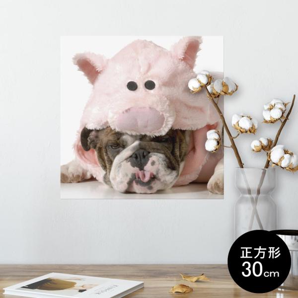 �|�X�^�[ �E�H�[���X�e�b�J�[ �V�[���� 30×30cm Ssize �� �C���e���A �������@�������� wall sticker poster ���@�u�^�@���� 001228