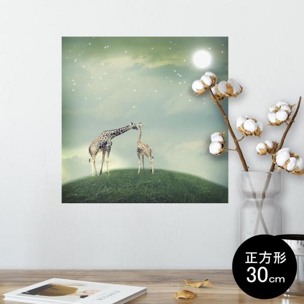 �|�X�^�[ �E�H�[���X�e�b�J�[ �V�[���� 30×30cm Ssize �� �C���e���A �������@�������� wall sticker poster �����@�i�F�@�� 012289