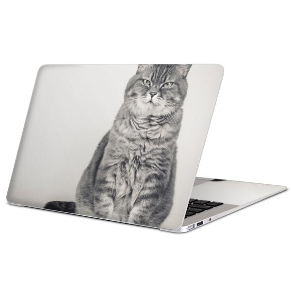 MacBook Pro 13inch retinapXLV[ }bNubN 13C` Mac Book  L@@ʐ^ 002901