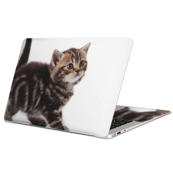 MacBook Pro 13inch retinapXLV[ }bNubN 13C` Mac Book  ʐ^@@L@˂ 005930