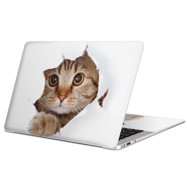 MacBook Pro 15inch retina��p�X�L���V�[�� �}�b�N�u�b�N 15�C���` Mac Book  �L�@�����@�ʐ^ 002783