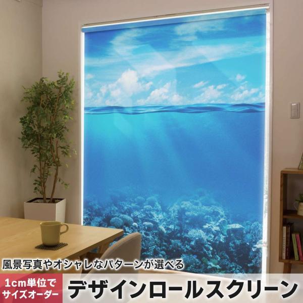 [XN[ [J[e I[_[Ch fUC 000071 ʐ^Ei C@@iF