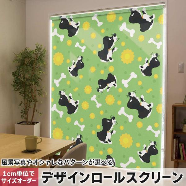 [XN[ [J[e I[_[Ch fUC 000172 Aj} @@΁@