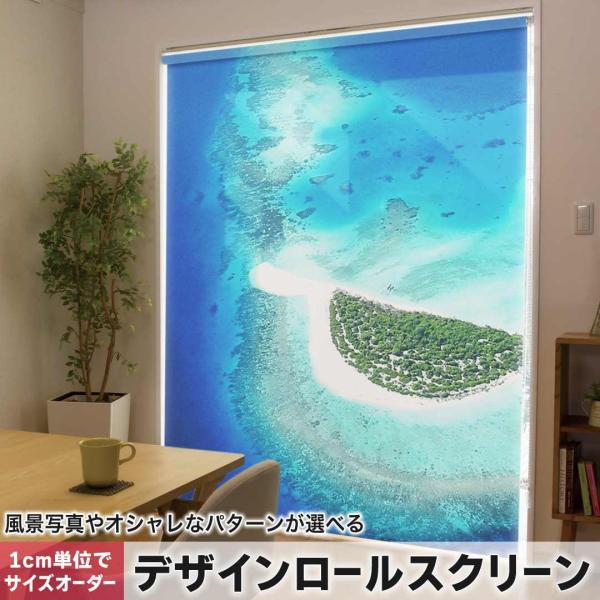 [XN[ [J[e I[_[Ch fUC 001045 ʐ^Ei @C