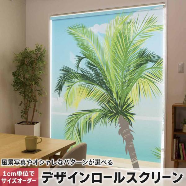 [XN[ [J[e I[_[Ch fUC 001430 ̑ ₵̖؁@C