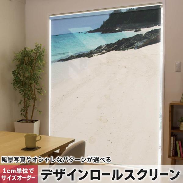 [XN[ [J[e I[_[Ch fUC 001540 ʐ^Ei C@l