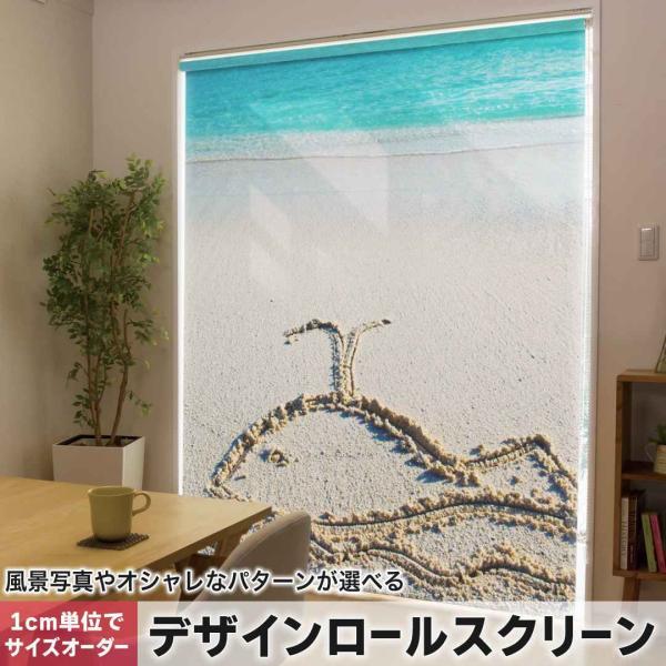 [XN[ [J[e I[_[Ch fUC 001562 ʐ^Ei l@NW@C