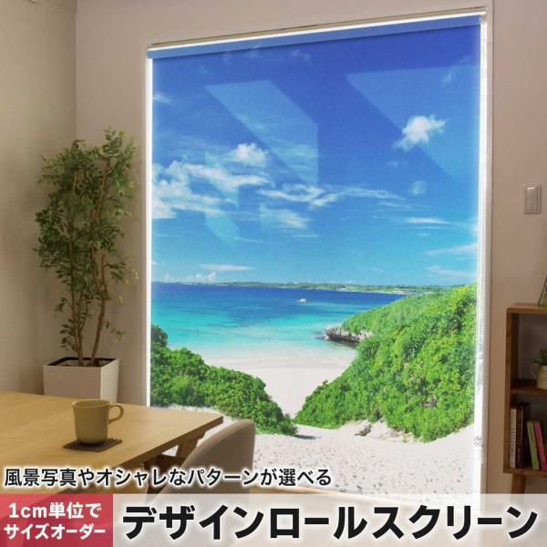 [XN[ [J[e I[_[Ch fUC 002777 ʐ^Ei ā@C@ʐ^