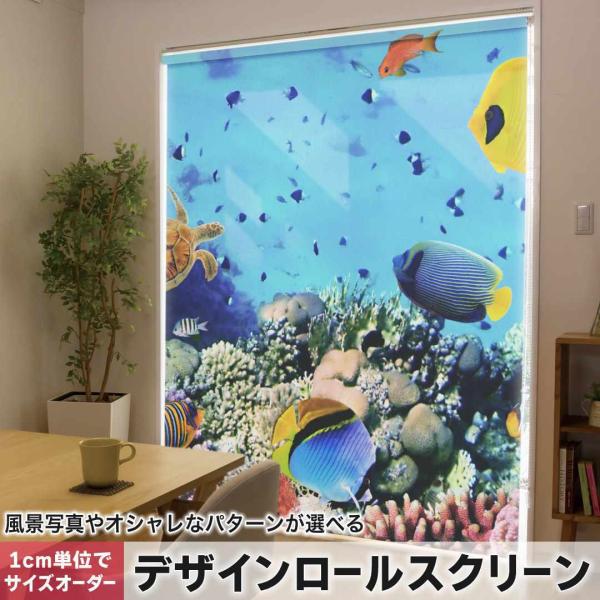 [XN[ [J[e I[_[Ch fUC 002823 ʐ^Ei C@ʐ^@Jt