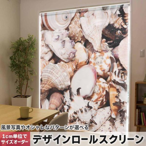 [XN[ [J[e I[_[Ch fUC 002925 ʐ^Ei C@Lk@ʐ^