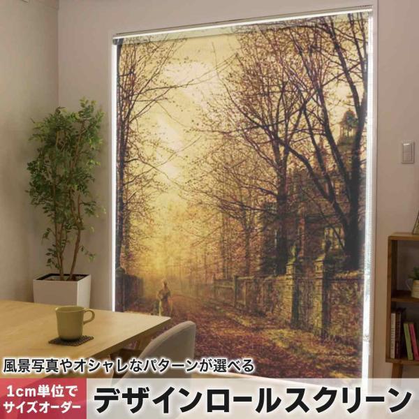 [XN[ [J[e I[_[Ch fUC 003224 N[ ʐ^Ei iF@i@G@CXg