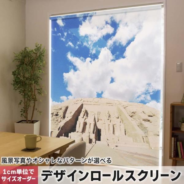 [XN[ [J[e I[_[Ch fUC 003296 N[ ʐ^Ei ̑ O@ʐ^@iF@i