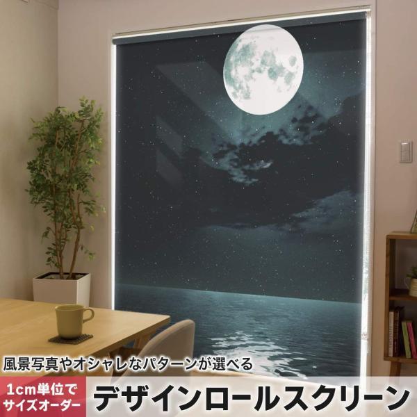 [XN[ [J[e I[_[Ch fUC 003304 N[ ʐ^Ei i@iF@C