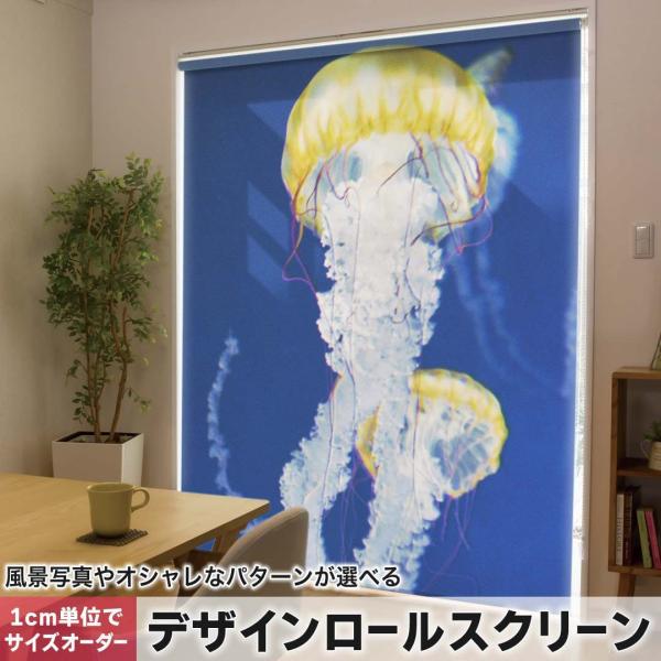 [XN[ [J[e I[_[Ch fUC 003306 N[ ʐ^Ei 炰@C@ʐ^