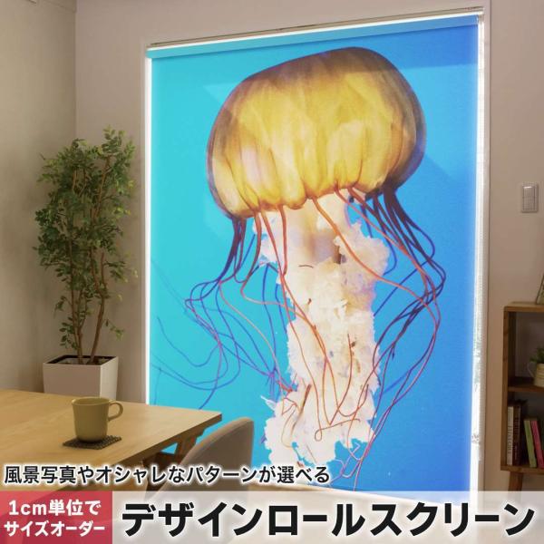 [XN[ [J[e I[_[Ch fUC 003338 N[ ʐ^Ei 炰@C@ʐ^