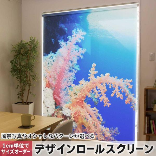 [XN[ [J[e I[_[Ch fUC 003341 ʐ^Ei N[ C@ʐ^@iF@i