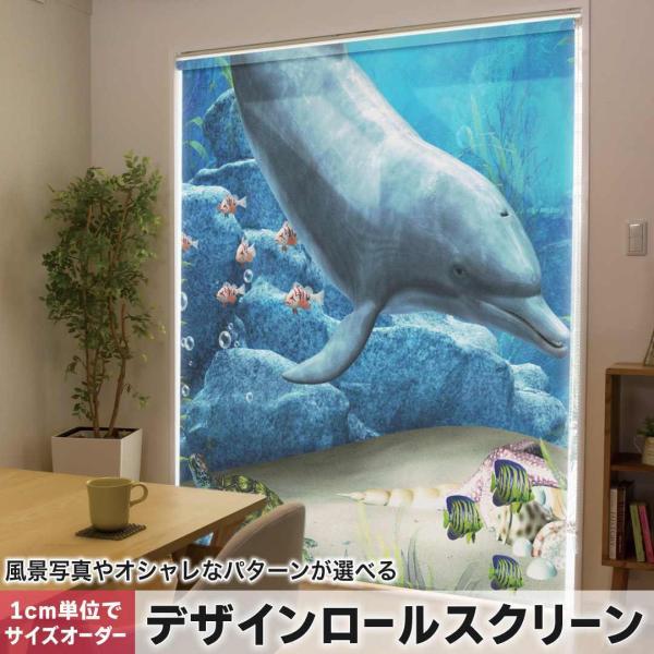 [XN[ [J[e I[_[Ch fUC 003345 ʐ^Ei j[N N[ @C@CXg