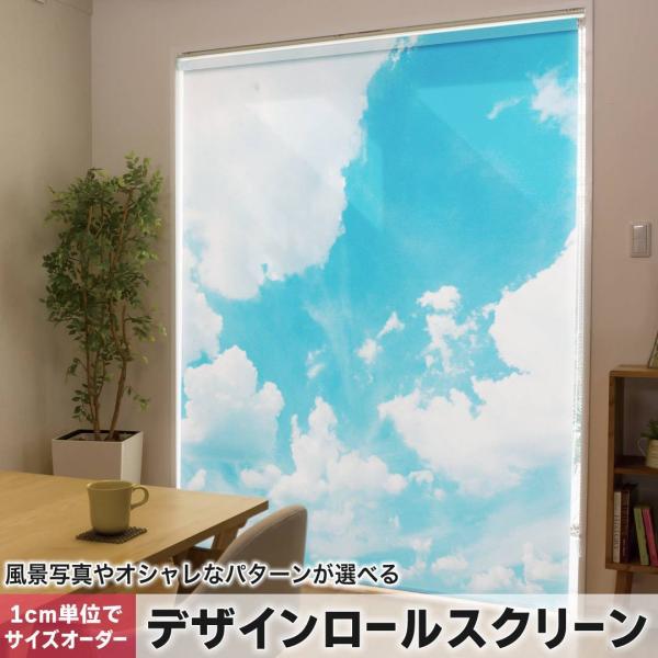 [XN[ [J[e I[_[Ch fUC 003474 ʐ^Ei @ʐ^@iF