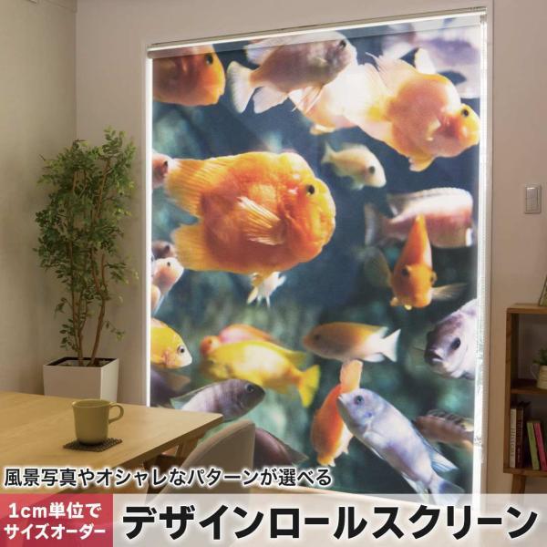 [XN[ [J[e I[_[Ch fUC 003538 ʐ^Ei @C@ʐ^