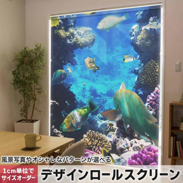 [XN[ [J[e I[_[Ch fUC 004493 Aj} ʐ^Ei C@@ʐ^