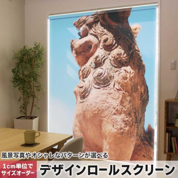 [XN[ [J[e I[_[Ch fUC 004542 ʐ^Ei V[T[@@ʐ^