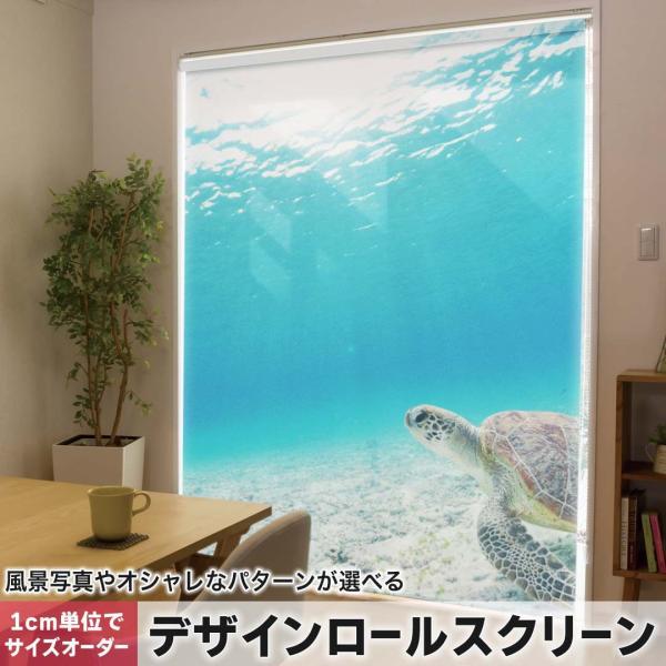 [XN[ [J[e I[_[Ch fUC 004605 ʐ^Ei E~K@C@ʐ^